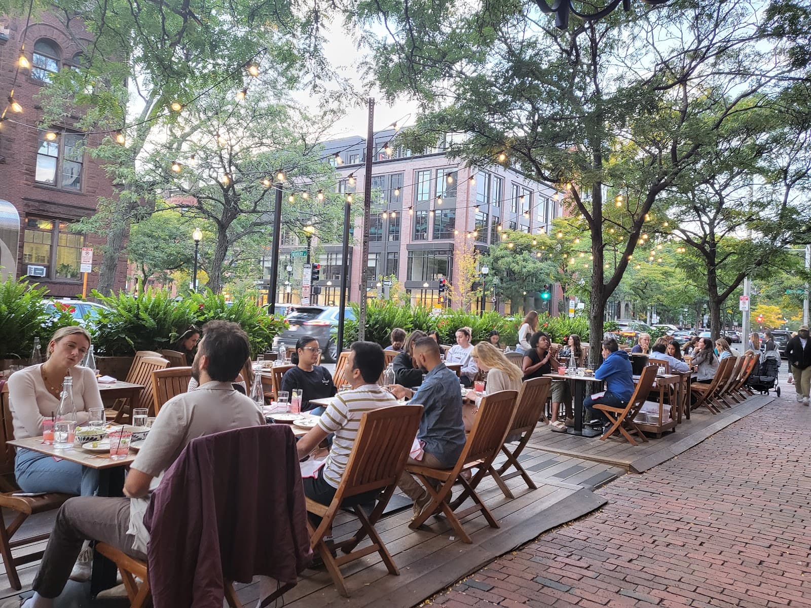 Lolita Back Bay