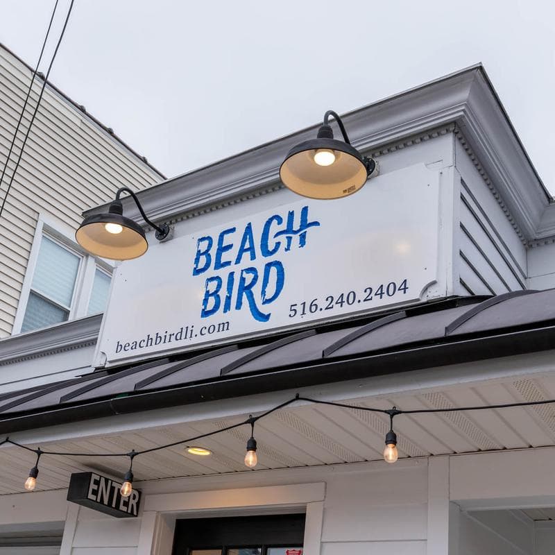 Beach Bird