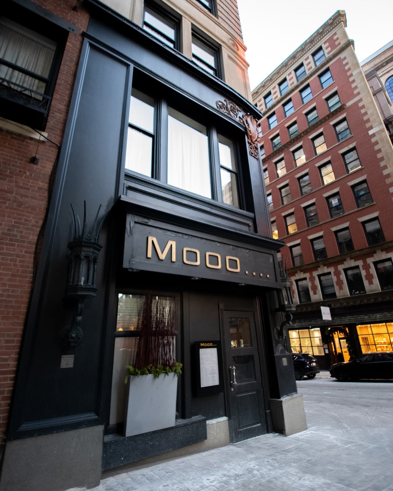 Mooo.... Beacon Hill