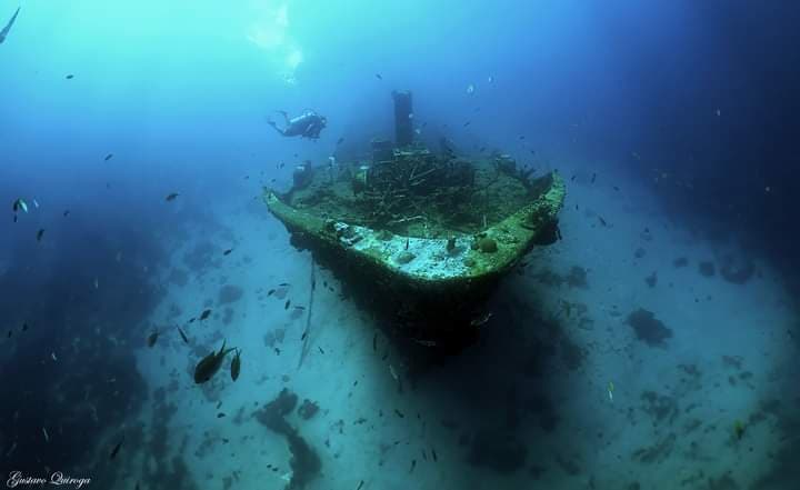 MV Superior Producer - Curaçao Iconic Shipwreck