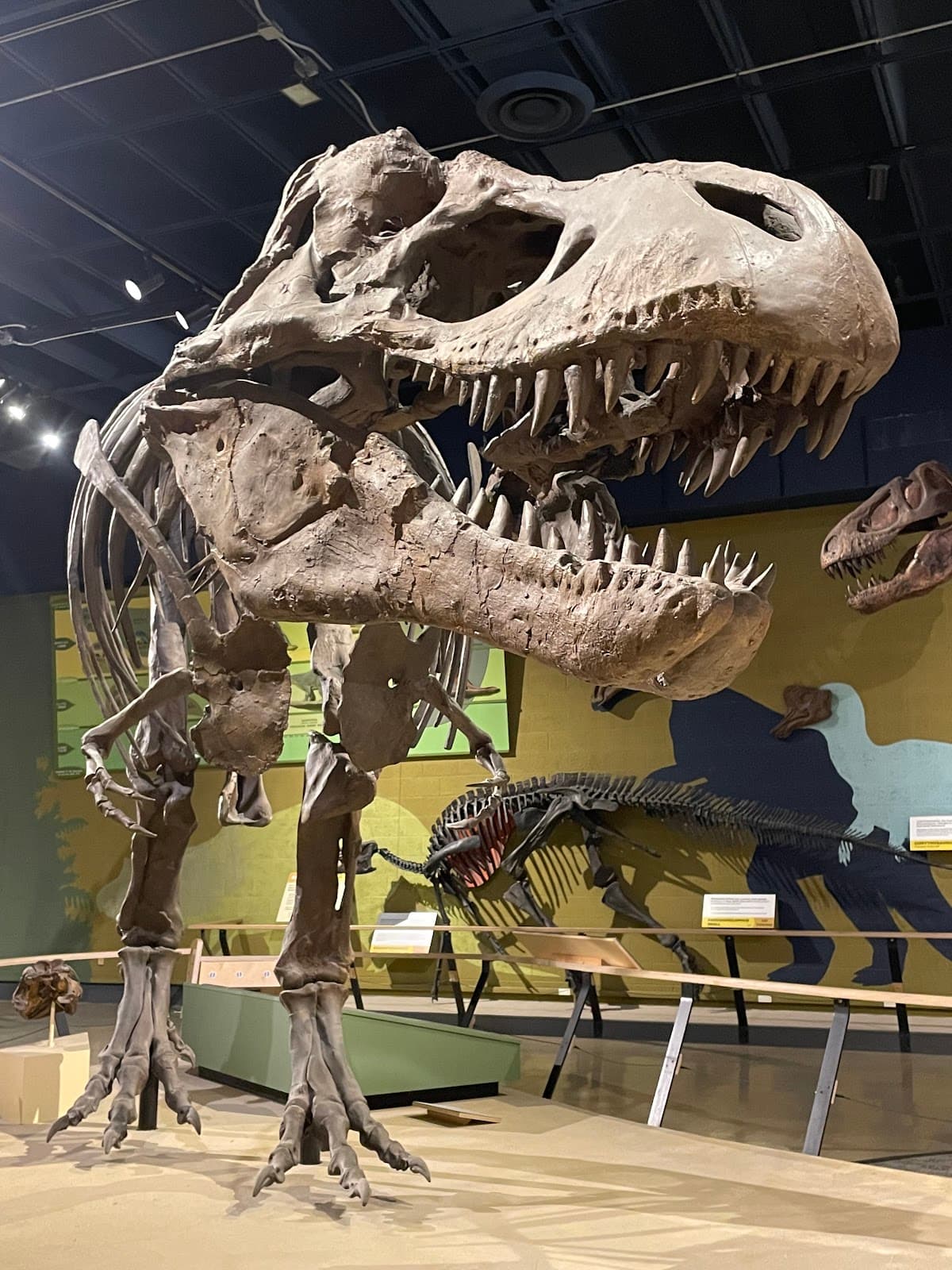 Cleveland Museum of Natural History