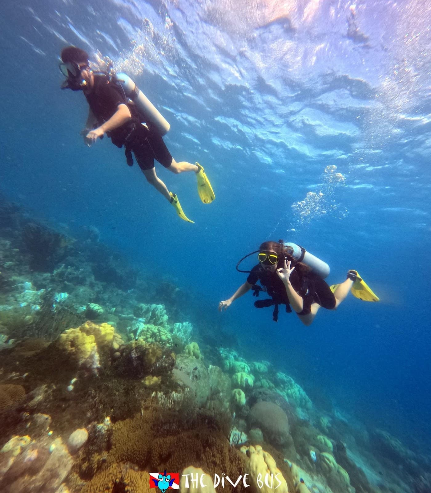 The Dive Bus, Curacao & Scubapro, Curacao