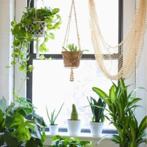 PRESS Modern Massage Greenpoint