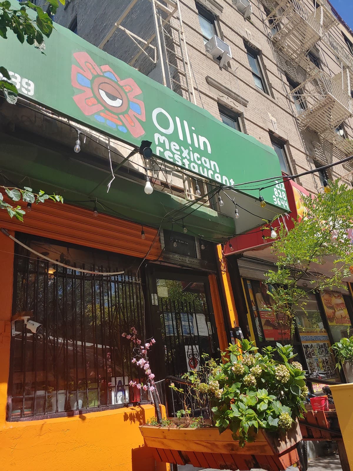 Ollin Restaurant